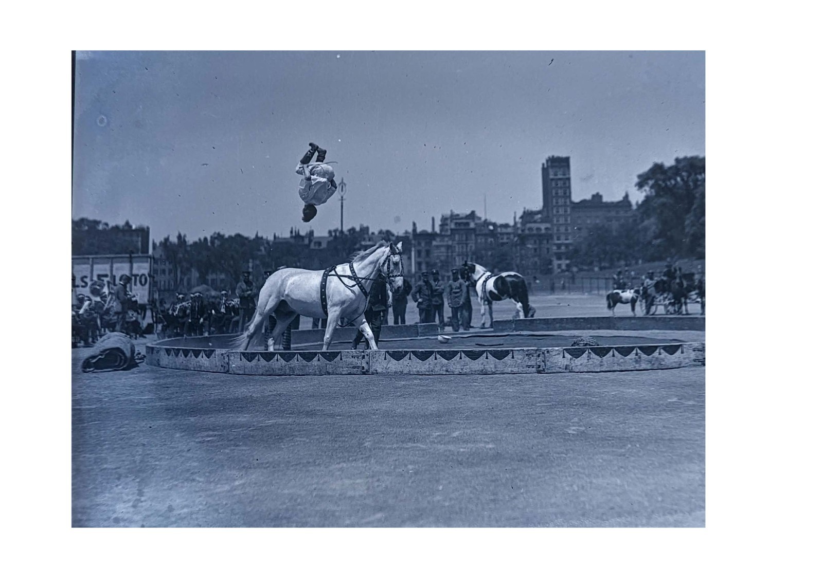 1921 Sells Floto Circus Bareback Acrobat Horse Flip Boston Glass Negative OOAK