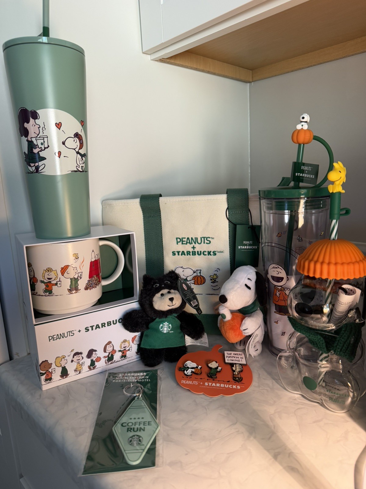 Starbucks Peanuts Snoopy Collection Lot of 9 items Starbucks Peanuts Snoopy Collection Lot of 9 items