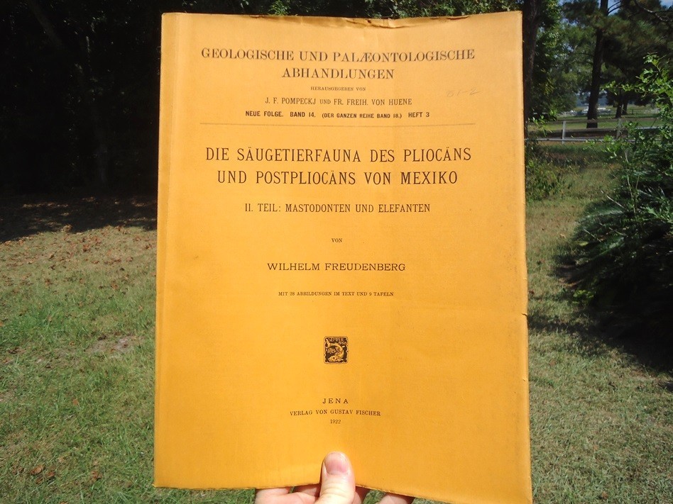 1922 THE MAMMALIAN FAUNA of PLIOCENE & POSTPLIOCENE MEXICO FOSSIL BOOK PAPER @@