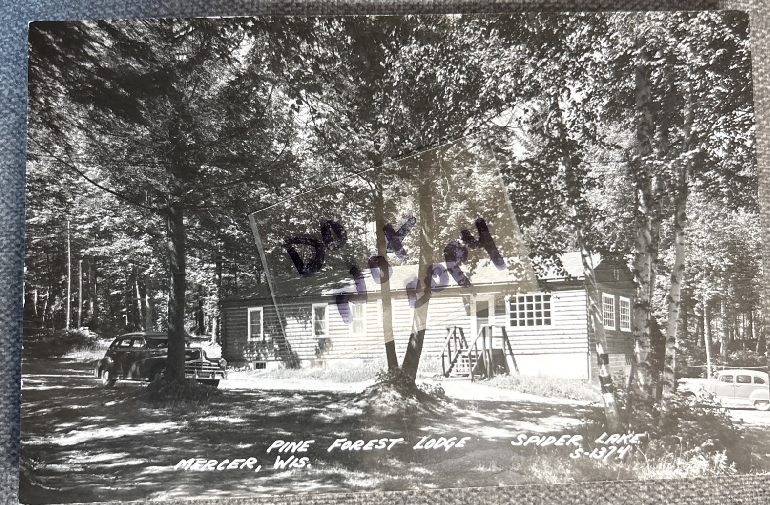 Mercer WI Pine Forest Lodge Spider Lake Real Photo RP Postcard Wisconsin
