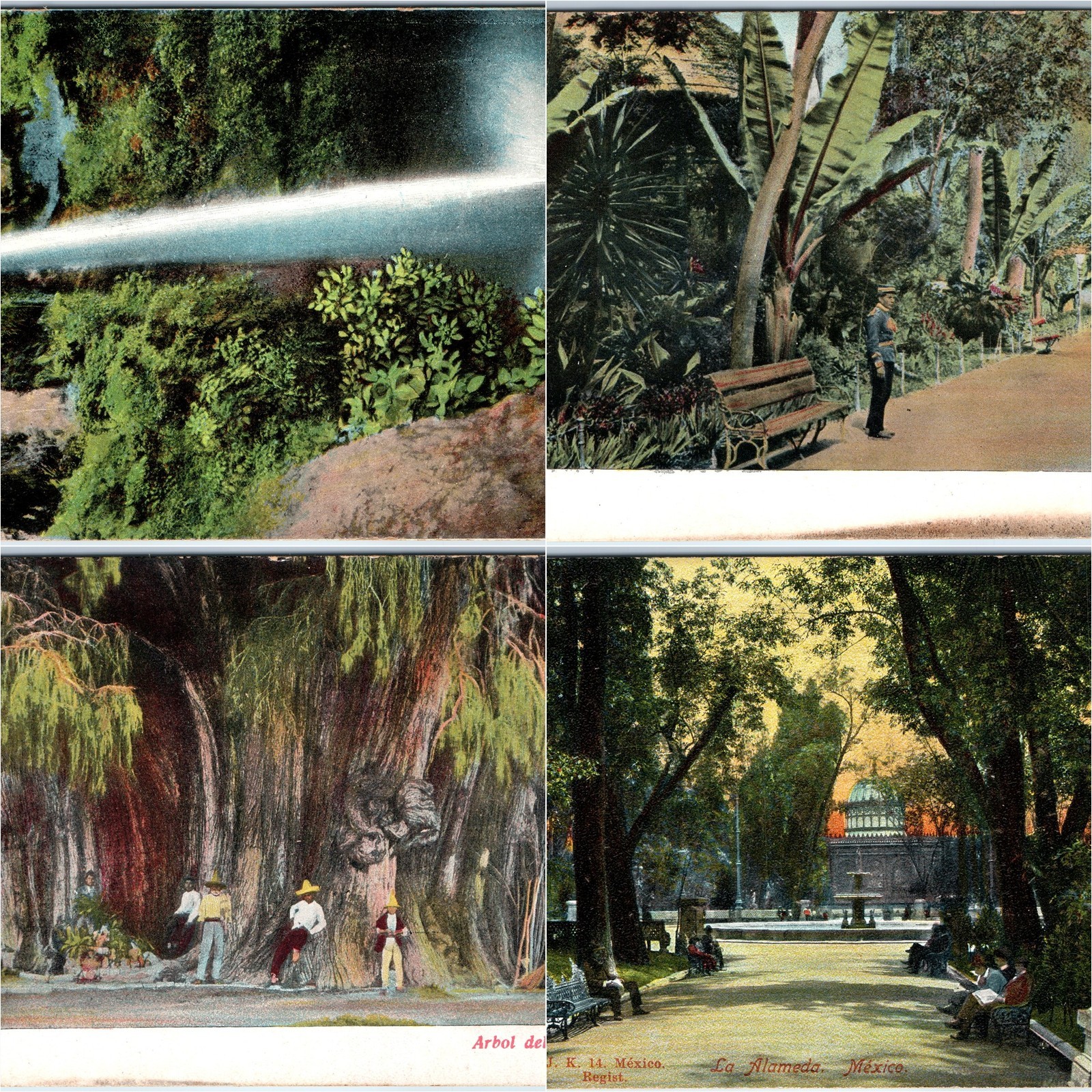 x4 LOT c1900s Mexico Postcards Alameda Park Soldier El Tule Cuernavaca Waterfall