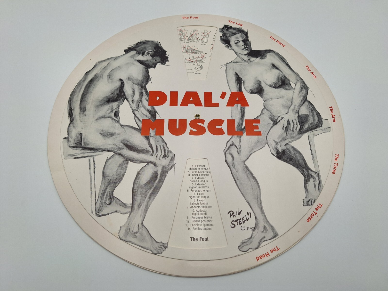 Vintage 1982 Phil Steele Double Sided Spinning DAIL \'A MUSCLE & BONE 12.5x12.5