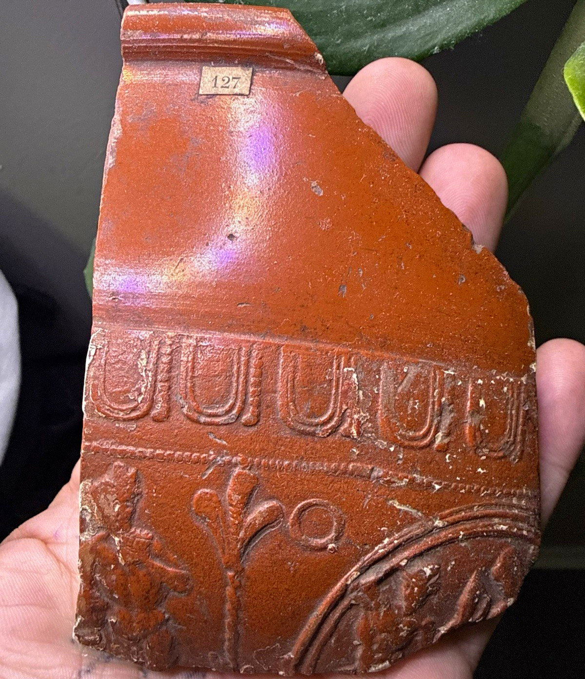 Roman Britain Large Samian-Ware Pottery Shard c. 1st Century BC Label “127”