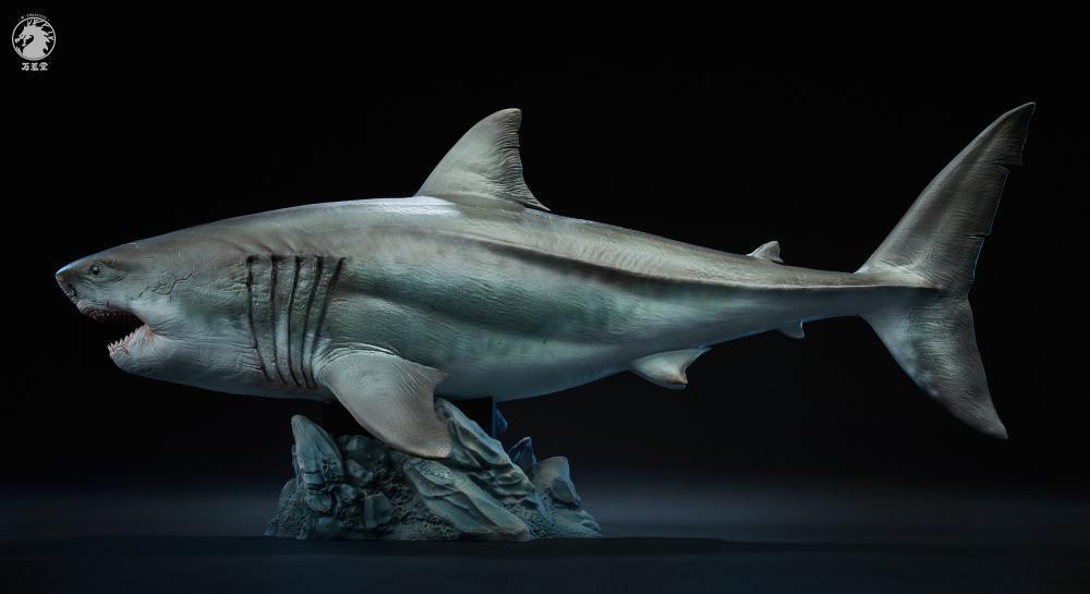 W-dragon 1/35 Carcharocles Megalodon Statue Model PVC Collectible Doll Toys