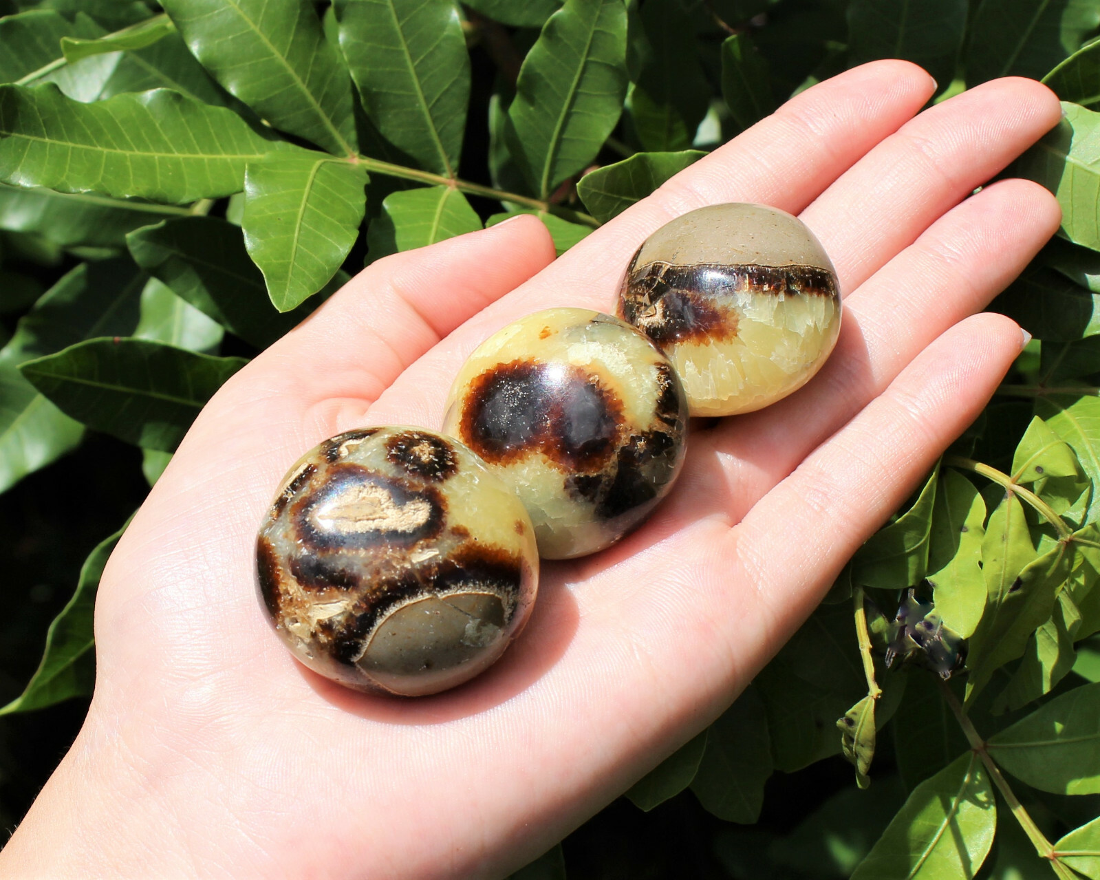 Septarian Palm Stones (Natural Septarian Pebble, Polished Septarian Crystals)