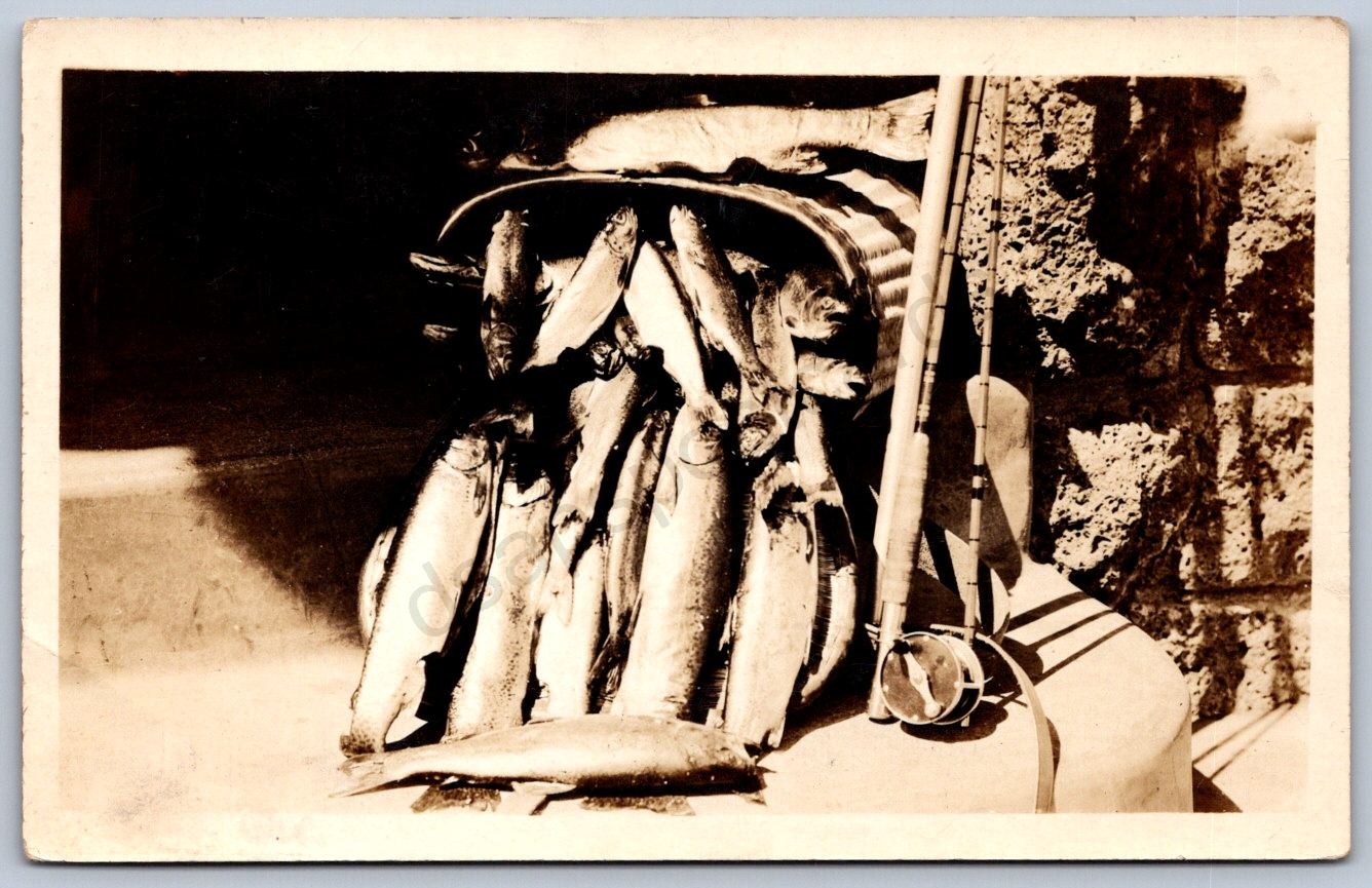 K40/ Interesting RPPC Postcard c1910 Americana Fly Fishing Basket Catch Fish 534