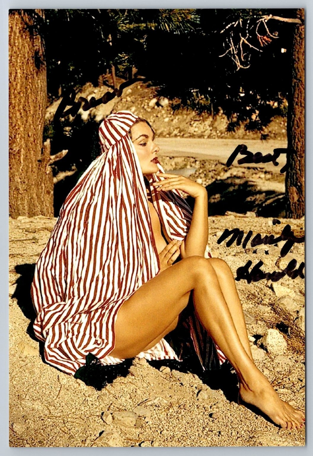 Marilyn Hanold Autographed Signed Photo 1963 Vintage Pin-Up Glamour