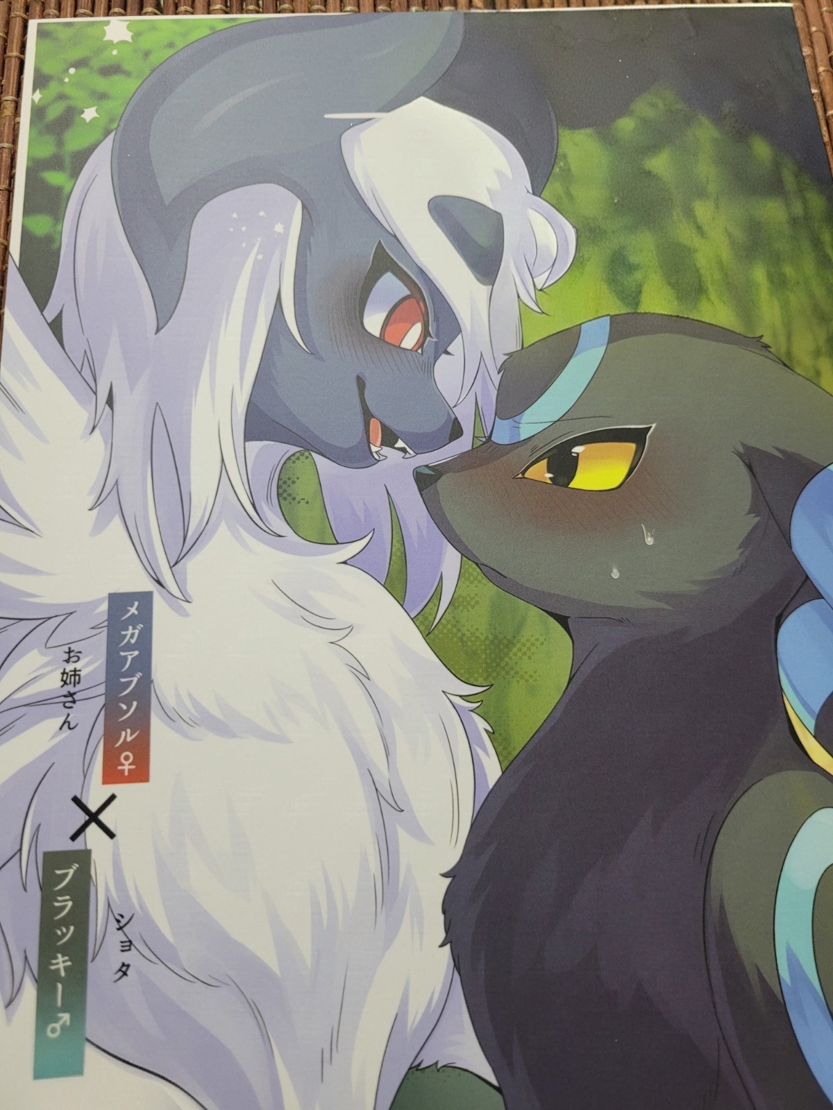 Pokemon Lomelette doujinshi A5 22 Pages Absol Umbreon