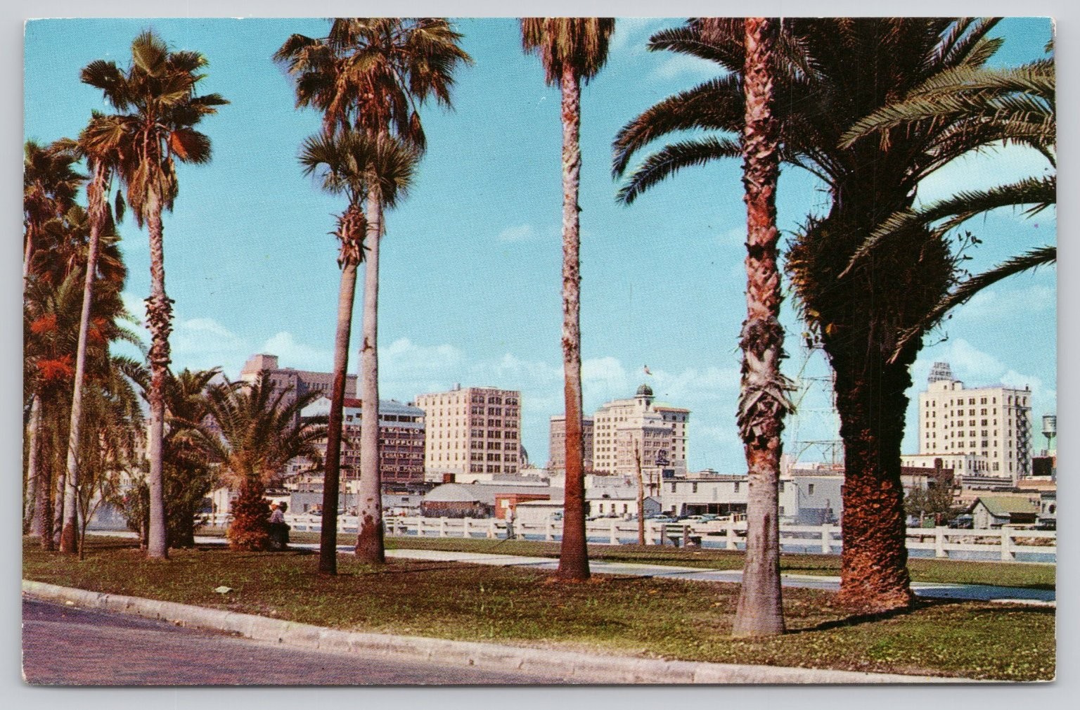 Vintage 1968 Tampa Florida Palm Tree Drive Skyscraper Skyline Postcard