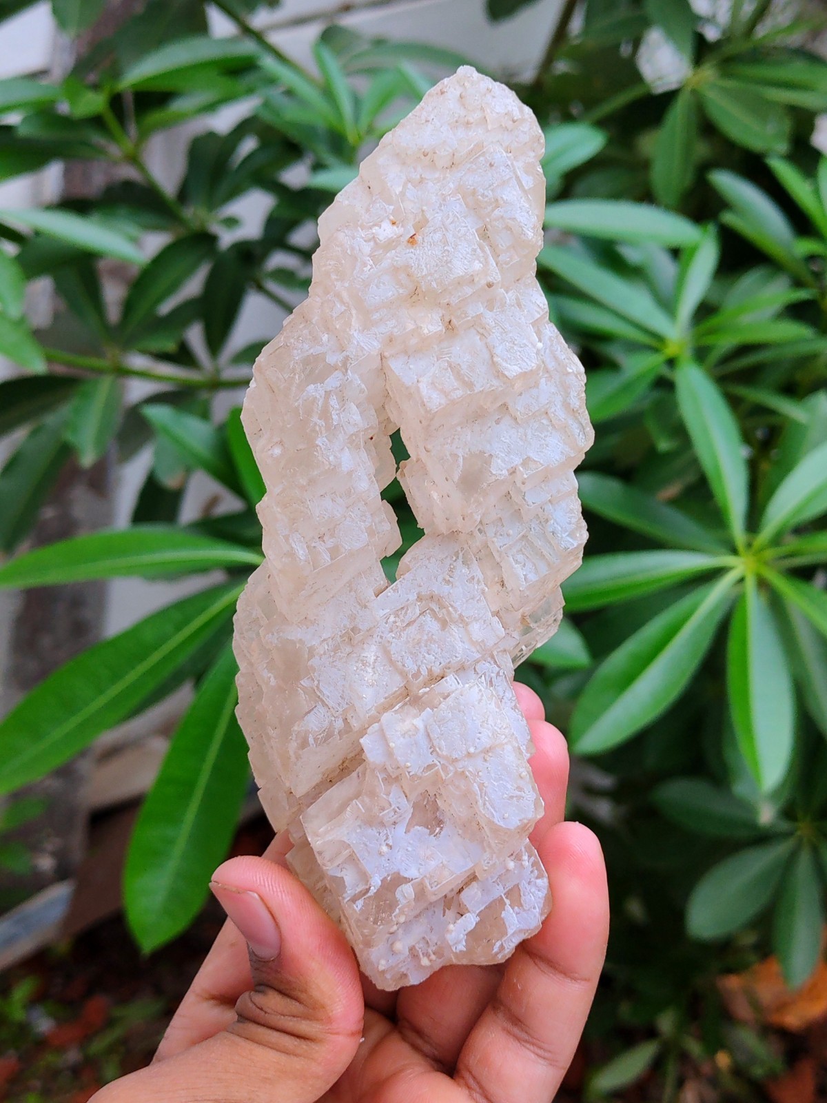 Coating Calcite Natural mineral specimen.