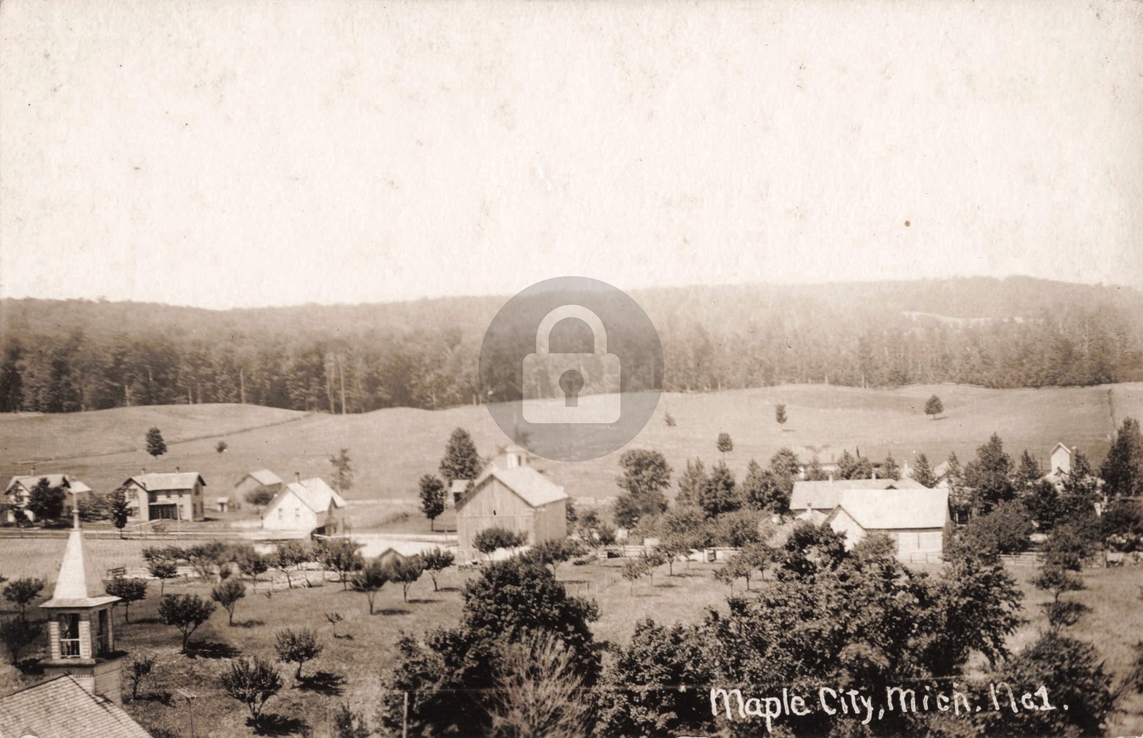 Bird\'s-Eye View Maple City No.1 MI Michigan RPPC Photo Postcard COPY Bird\'s-Eye View Maple City No.1 MI Michigan RPPC Photo Postcard COPY