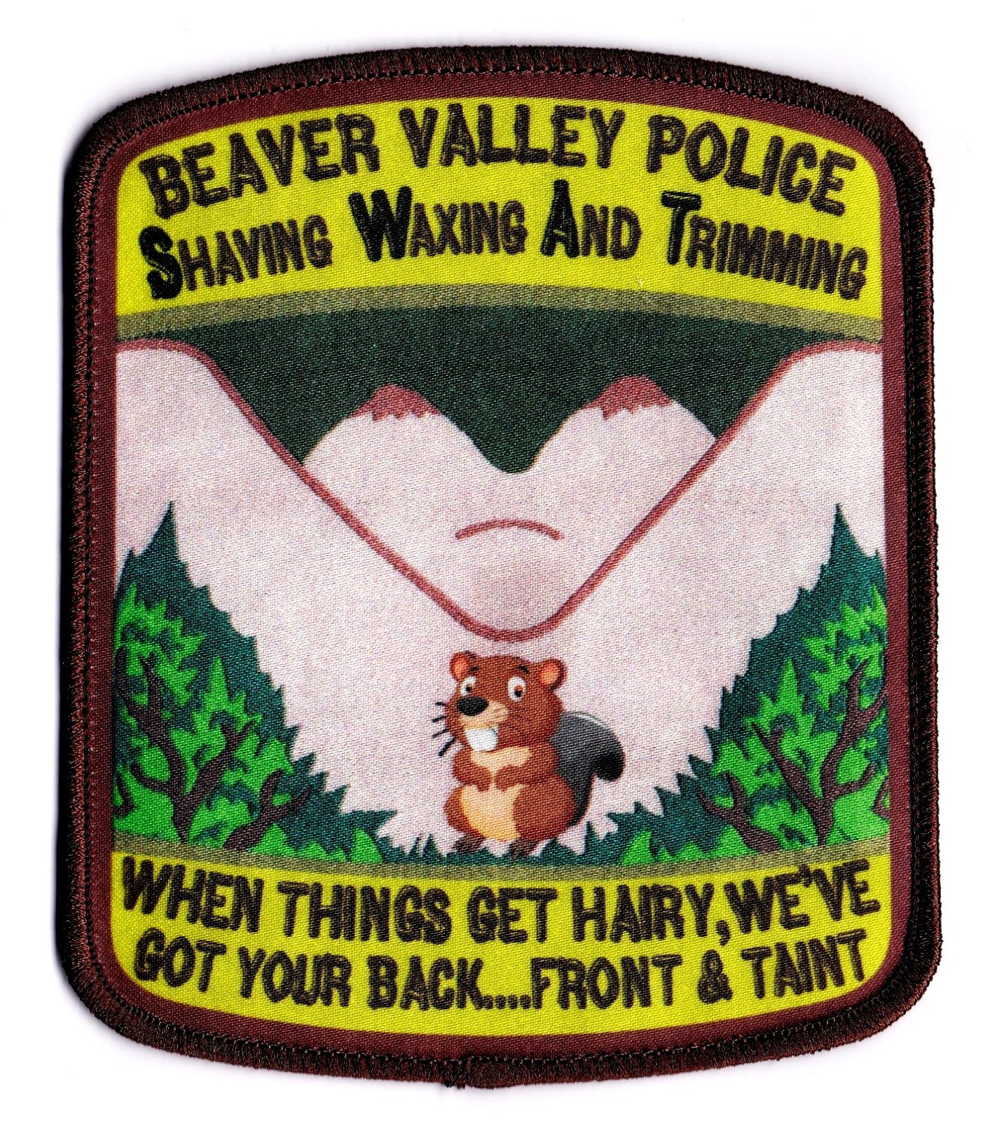 BEAVER VALLEY POLICE  SWAT   PA  PENNSYLVANIA   SERT  ERT