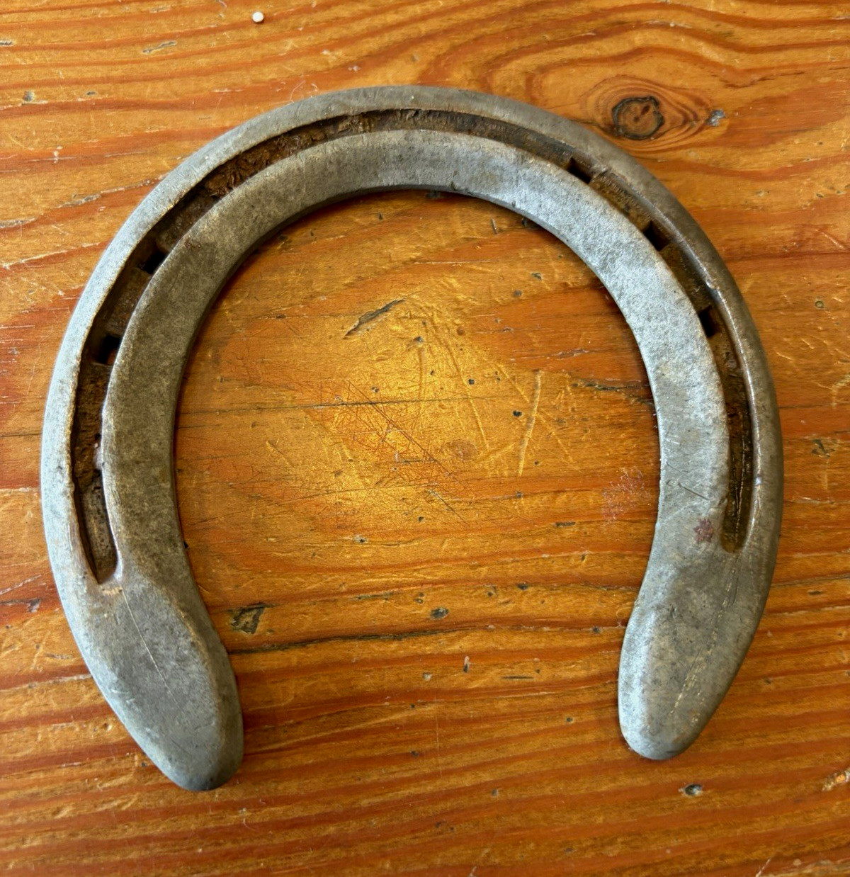 Vintage Rustic Metal Horseshoes