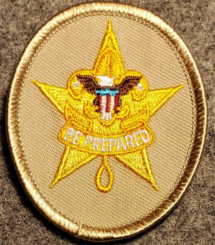 BSA - Star Rank Badge - Tan Oval - Current Issue - Scouting America
