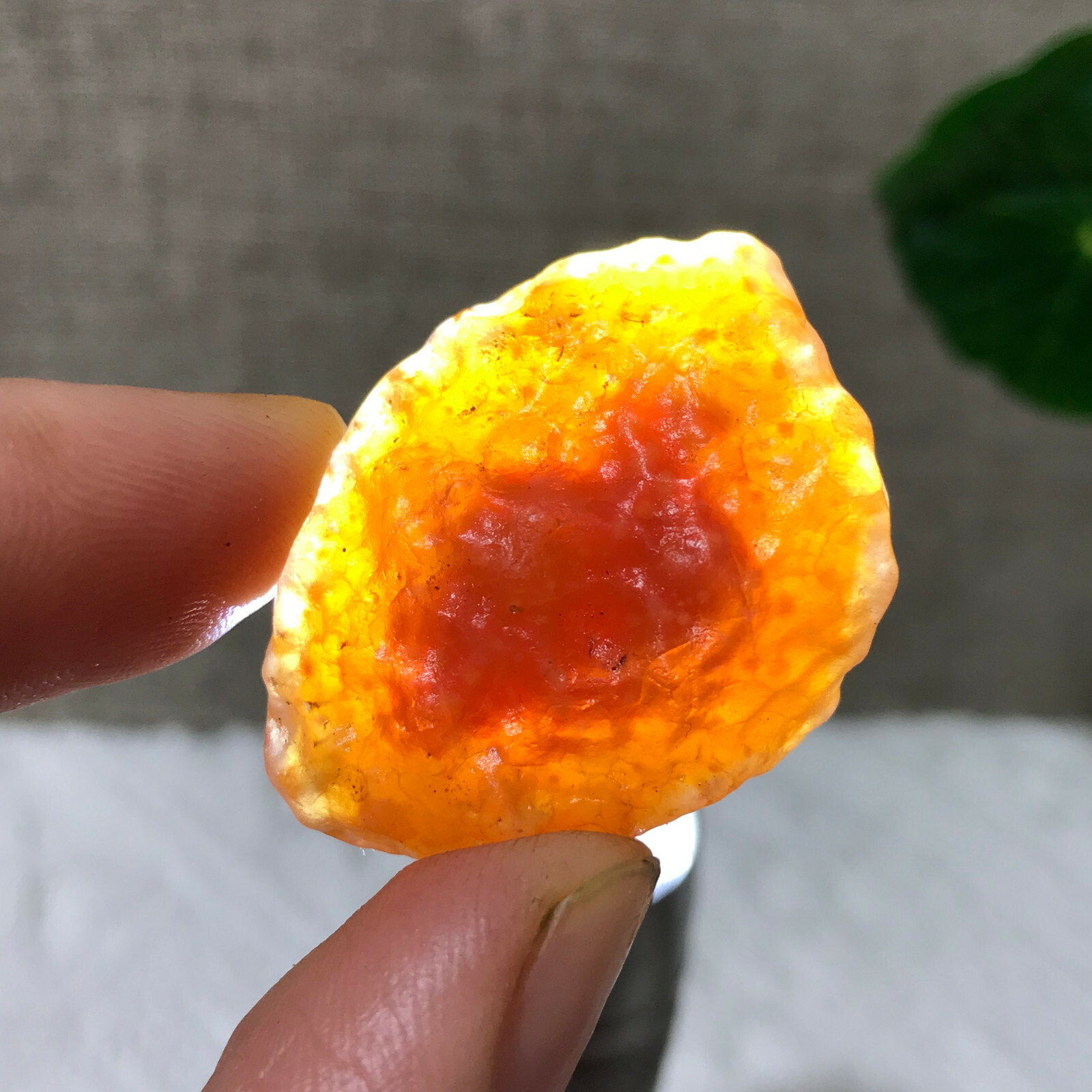 14g RARE GENUINE “ALASHAN CANDY” GOBI AGATE STONES Reiki INNER MONGOLIA