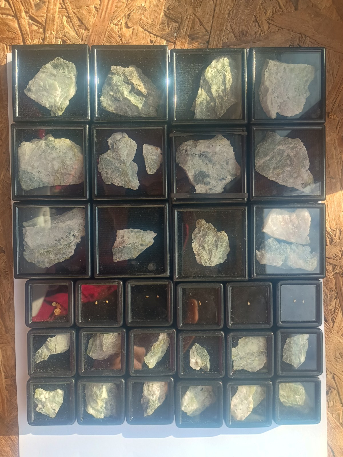 Lot 26 Natifos Bears on Quartz +10 French Gold Nuggets Morbihan 