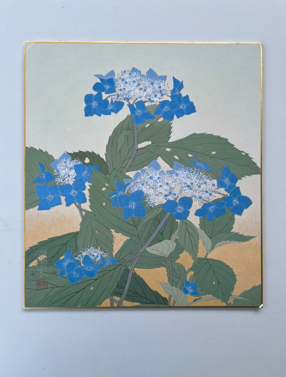 Japanese Art Board Vtg Shikishi Paper Printed Picture Mountain Hydrangea 