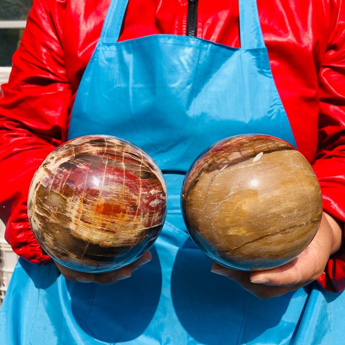 2PCS 6.29 LB Natural Petrified Wood Agate Sphere Crystal Healing Specimen 4097