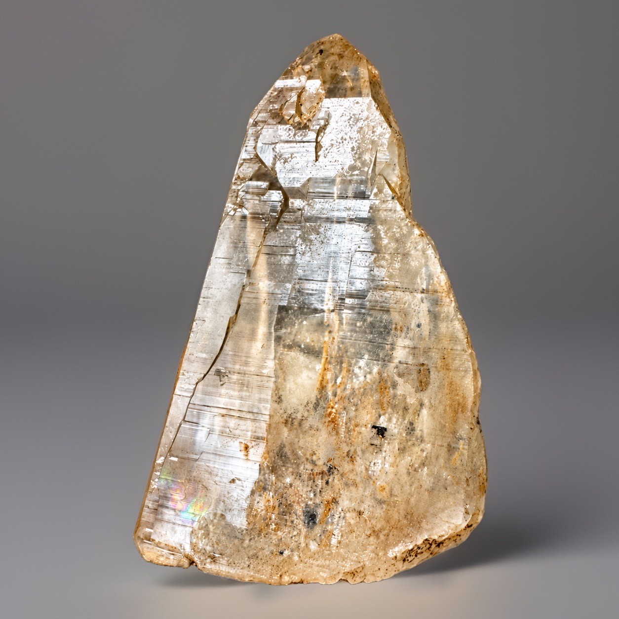 “Golden Vista” Ganesh Himalayan Nirvana Floater Quartz Rainbow Basin Crystal