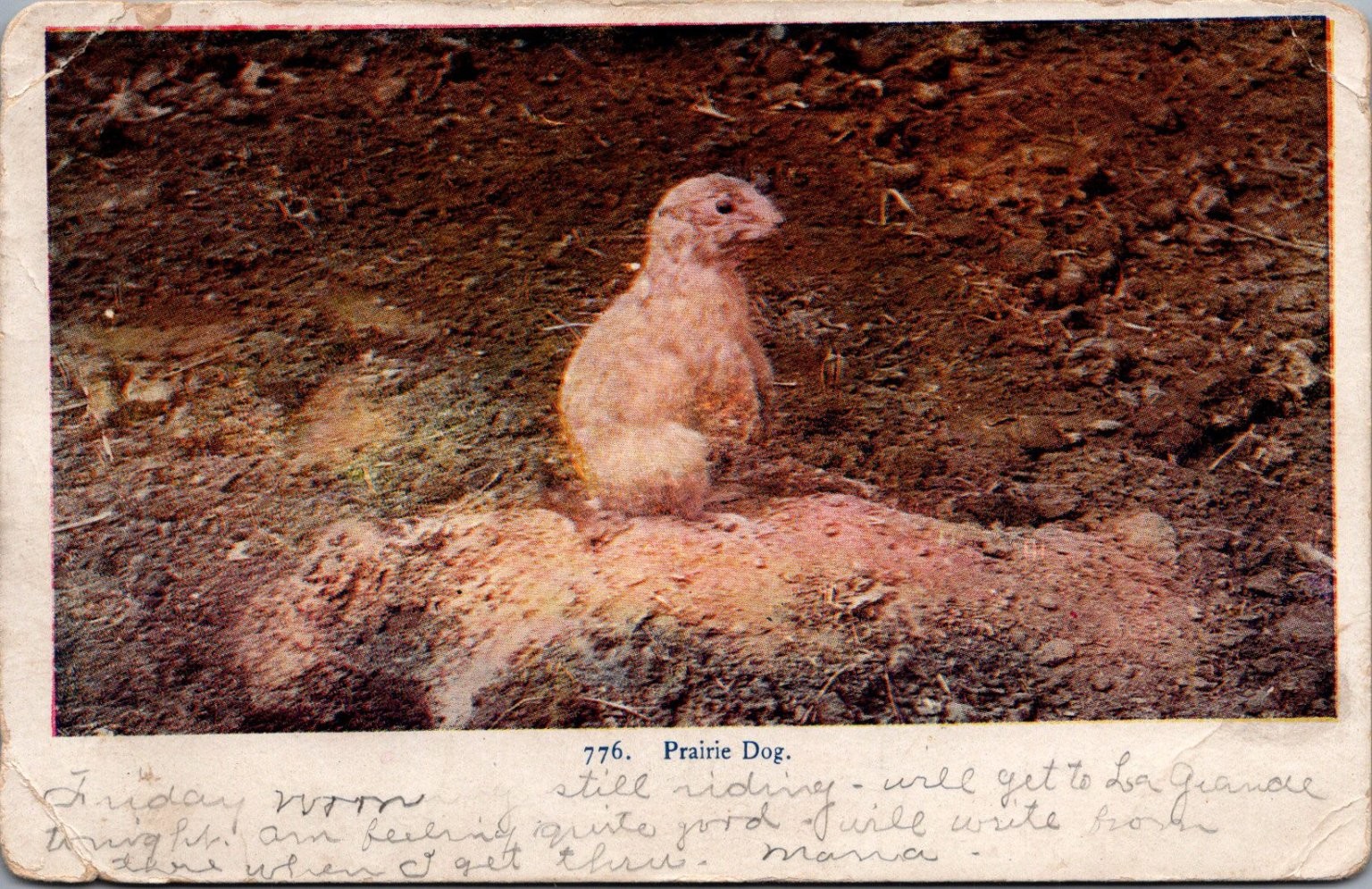 1907 Prairie Dog Postcard Elwood IN to Topeka KS One Cent Stamp