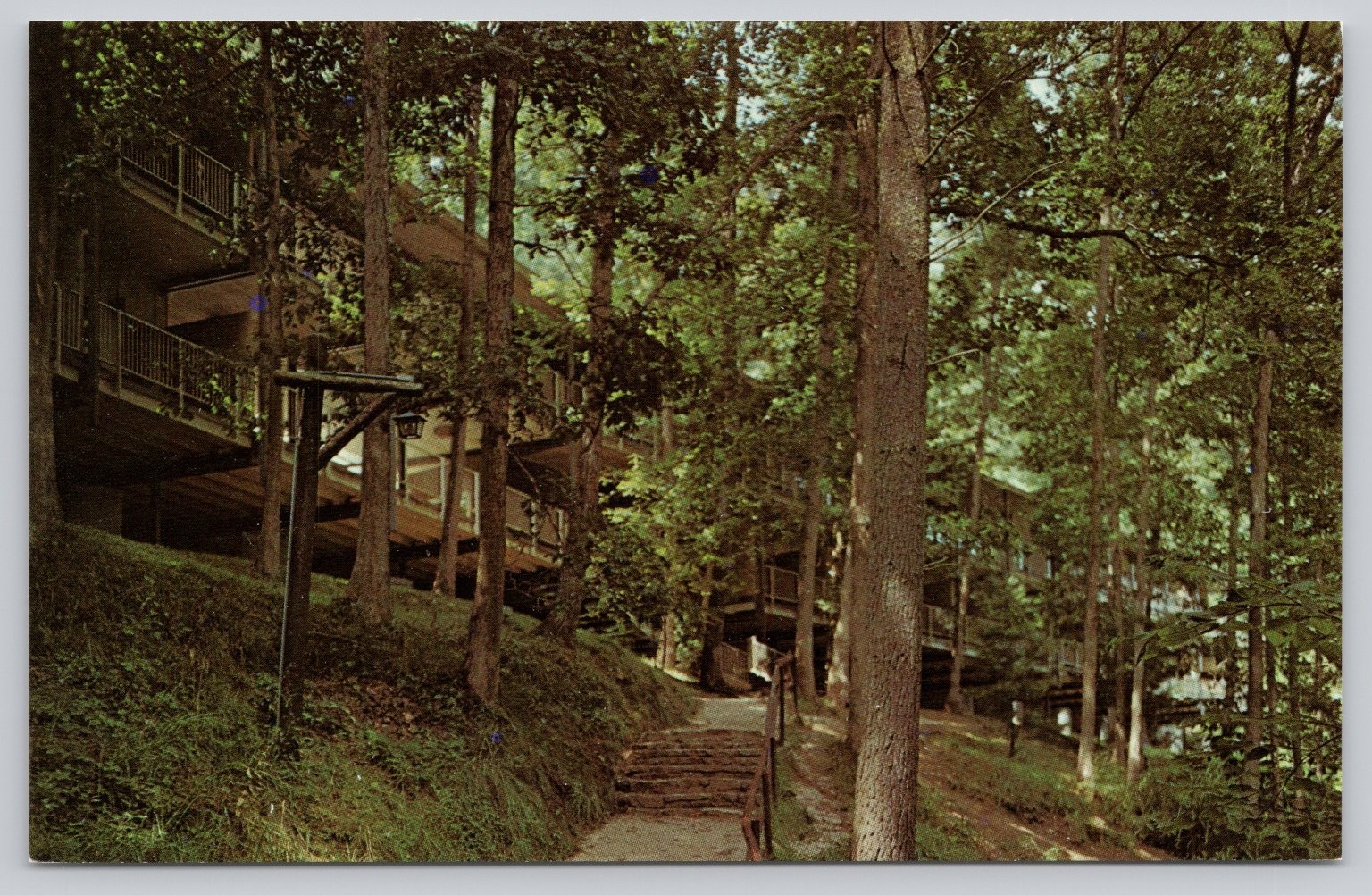 Hemlock Lodge Natural Bridge State Park Kentucky Vintage Photochrome Postcard Hemlock Lodge Natural Bridge State Park Kentucky Vintage Photochrome Postcard