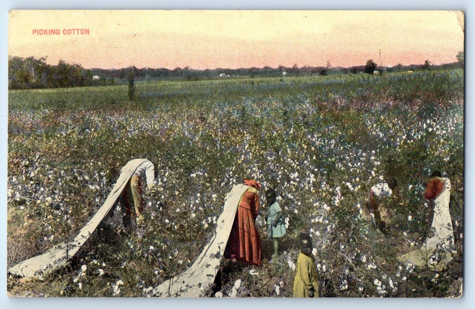 c1910's View Of Picking Cotton Farm Scene Field Rosebud Texas TX Postcard c1910's View Of Picking Cotton Farm Scene Field Rosebud Texas TX Postcard