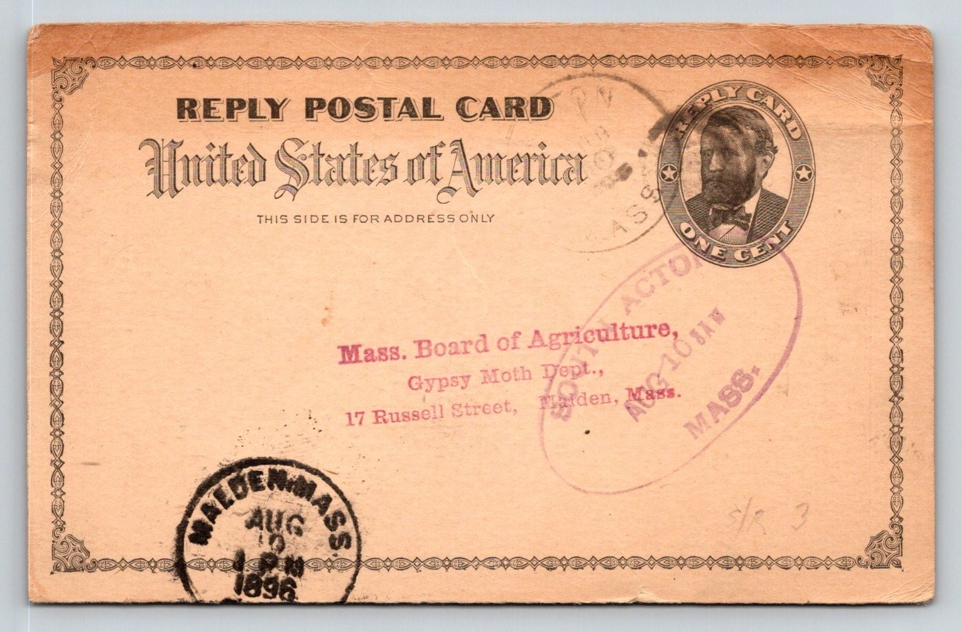 1896 US Reply Postal Card Acton Library Gypsy Moth Report Malden MA Postmark
