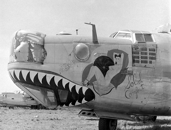 Nose art Consolidated B-24 Liberator Solid Comfort 5\