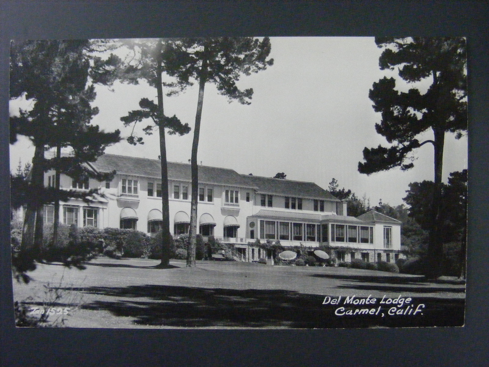 Carmel California CA Del Monte Lodge Real Photo Postcard RPPC 1930-50