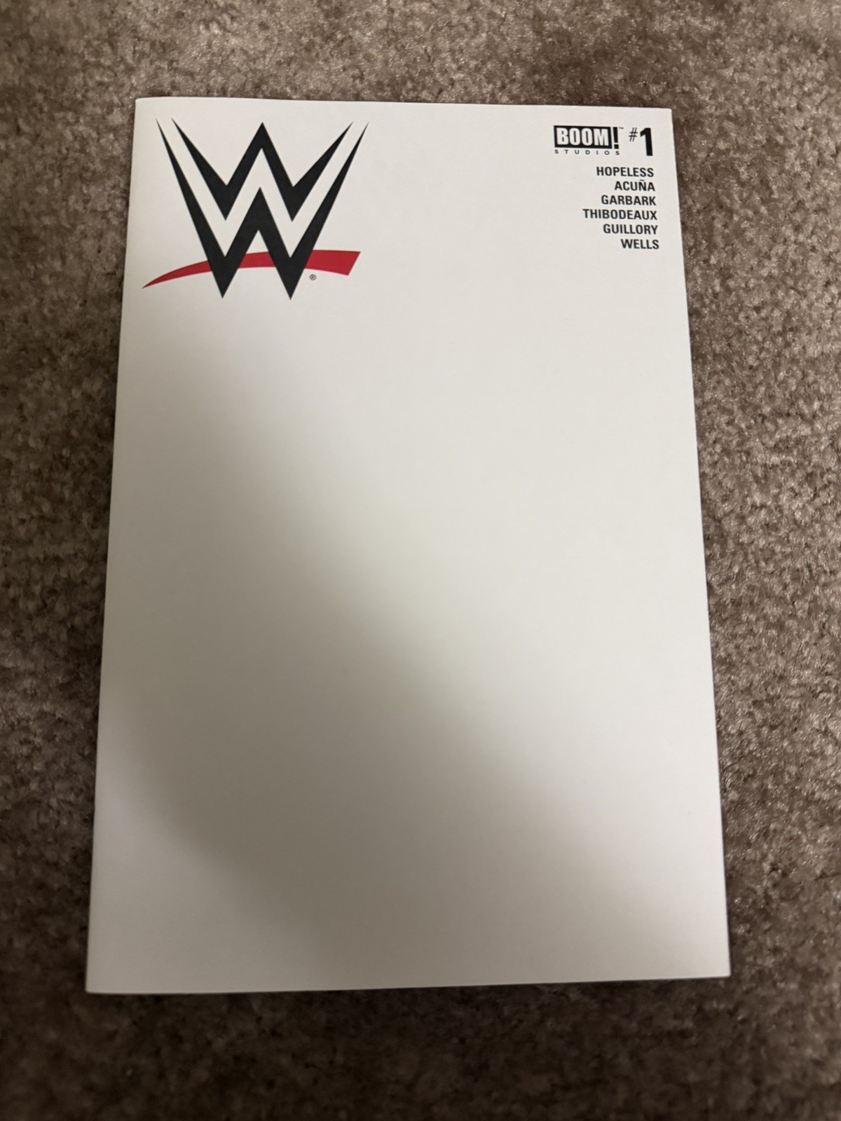 WWE Wrestling #1 Blank Cover Variant (BOOM Studios January 2017) VHTF