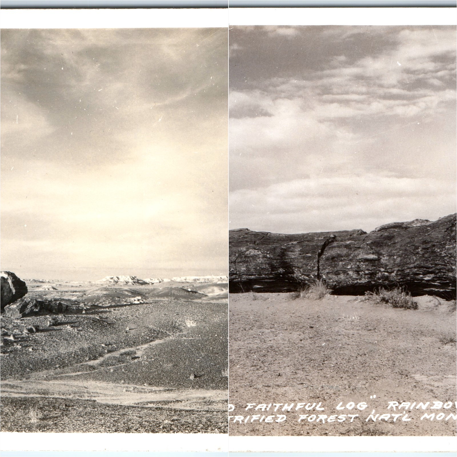 x2 LOT c1940s Petrified Forest, AZ RPPC Postcard Old Faithful Log Waste Lands x2 LOT c1940s Petrified Forest, AZ RPPC Postcard Old Faithful Log Waste Lands
