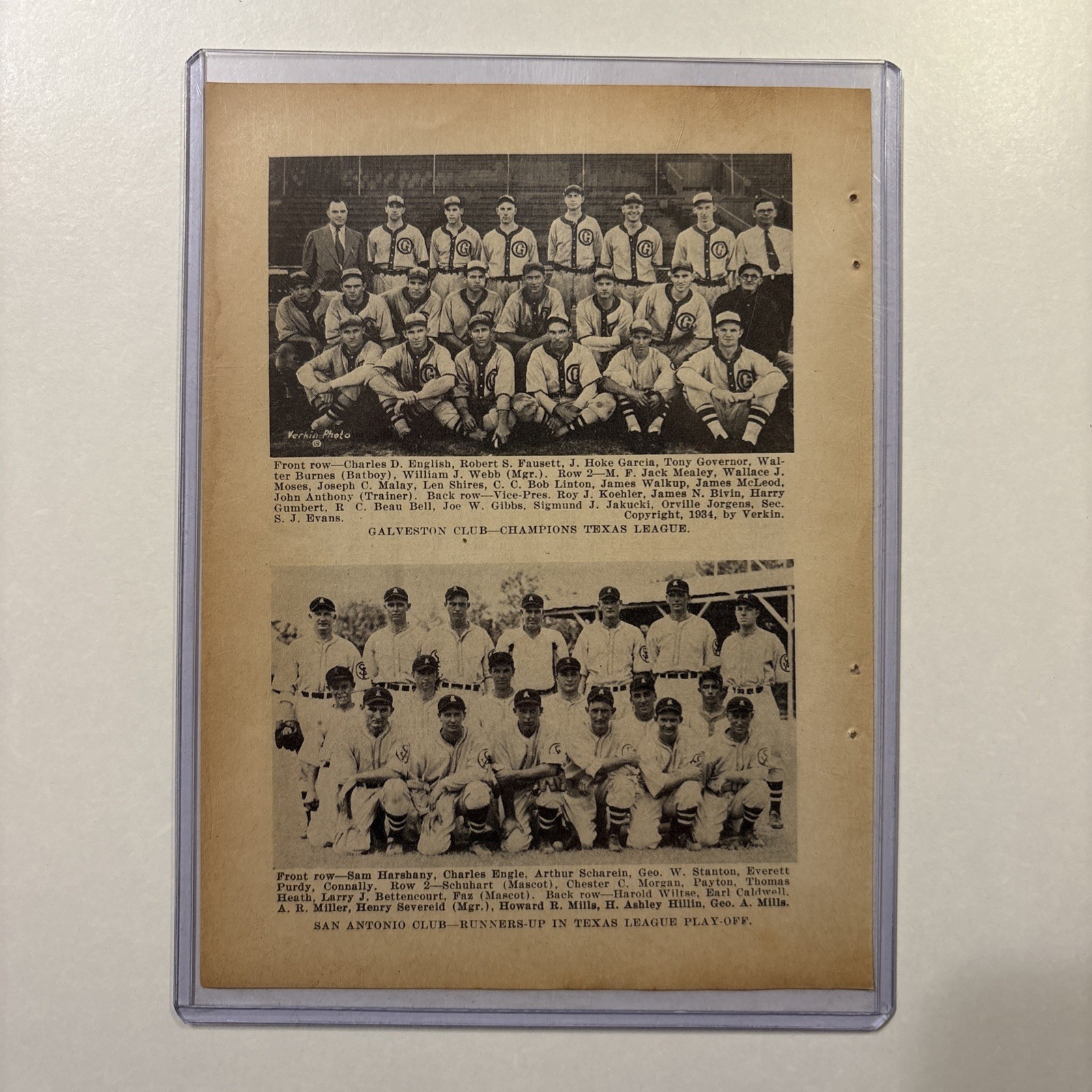 1934 Galveston & San Antonio TX Baseball Team Picture Rare Vintage Antique Texas