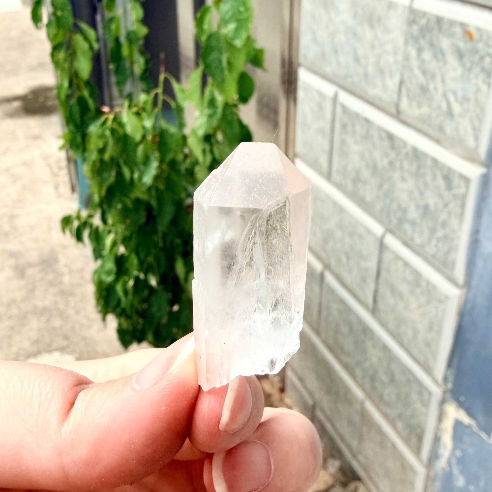 11g Natural Clear White Quartz Crystal Cluster Rough Healing Specimen