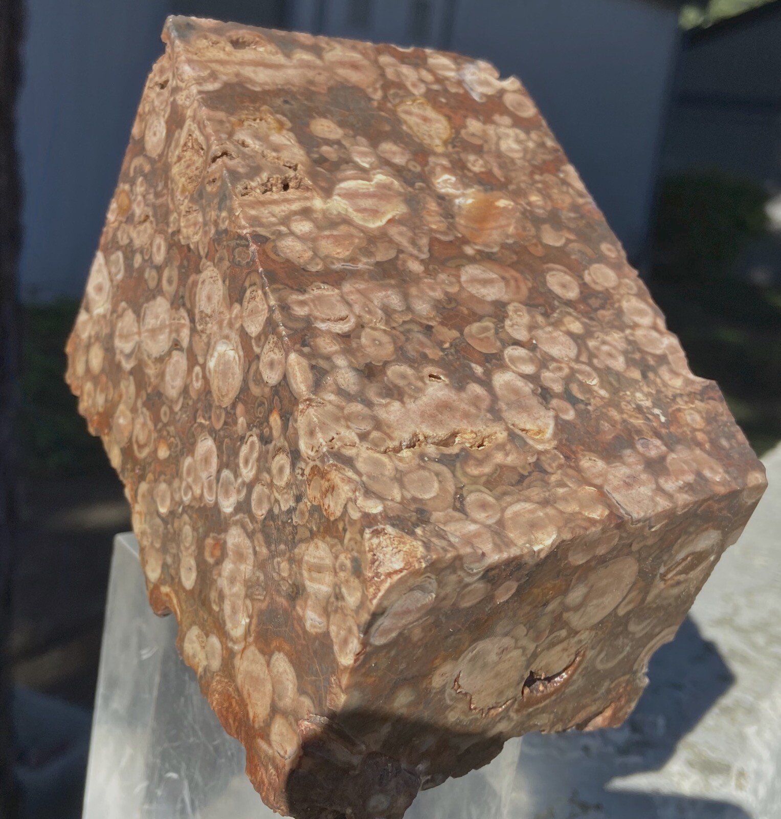 FLOWER JASPER ORBICULAR RARE STRIKING LARGE BLOCK 3.85  Lbs - 1.590 KiLOS MEXICO