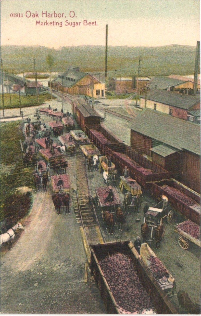 RAIL CARS OF SUGAR BEETS oak harbor oh c1910 original antique postcard ohio