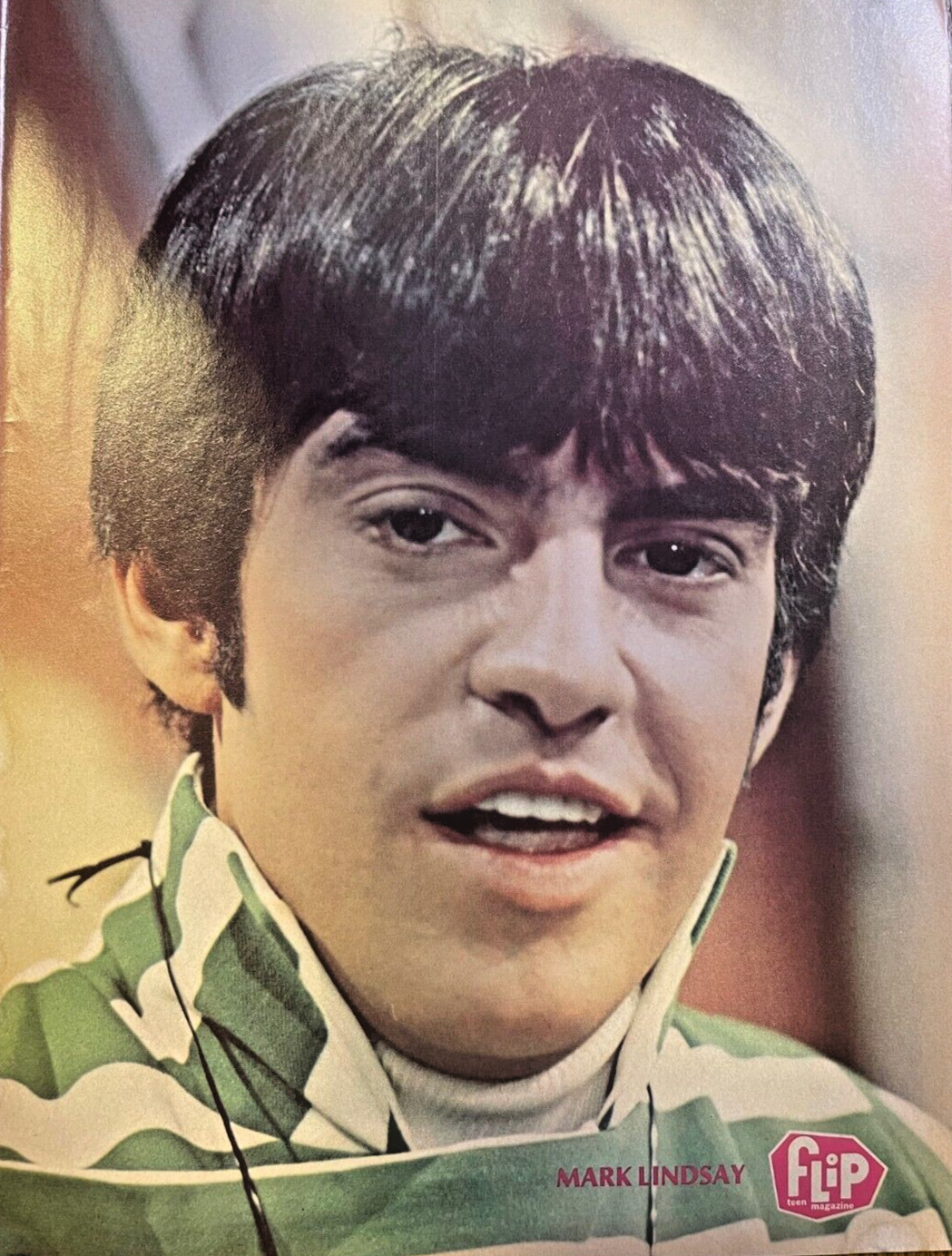 1969 Vintage Illustration Musician Mark Lindsay