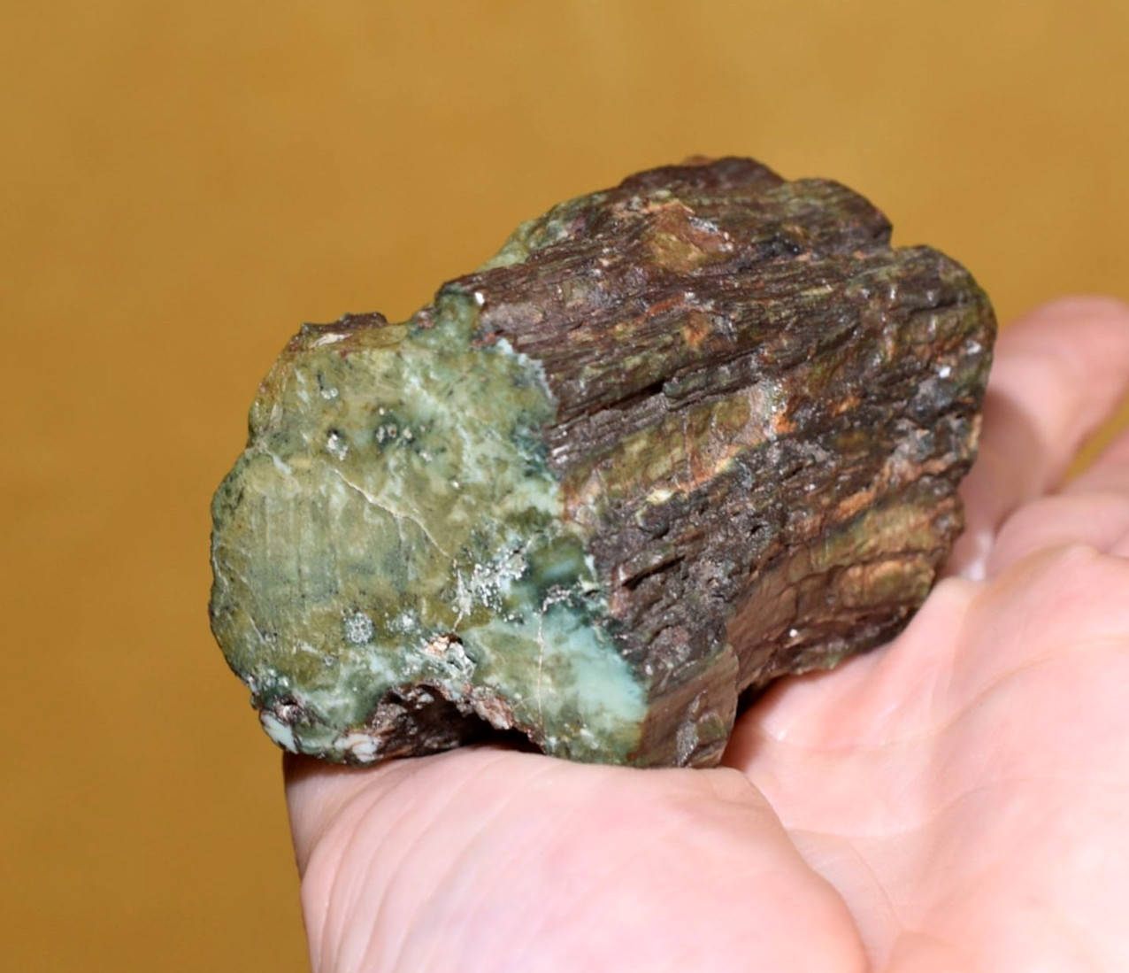 Polished Green Jasper Replaced Petrified Jasperised Wood Hampton Butte, Oregon