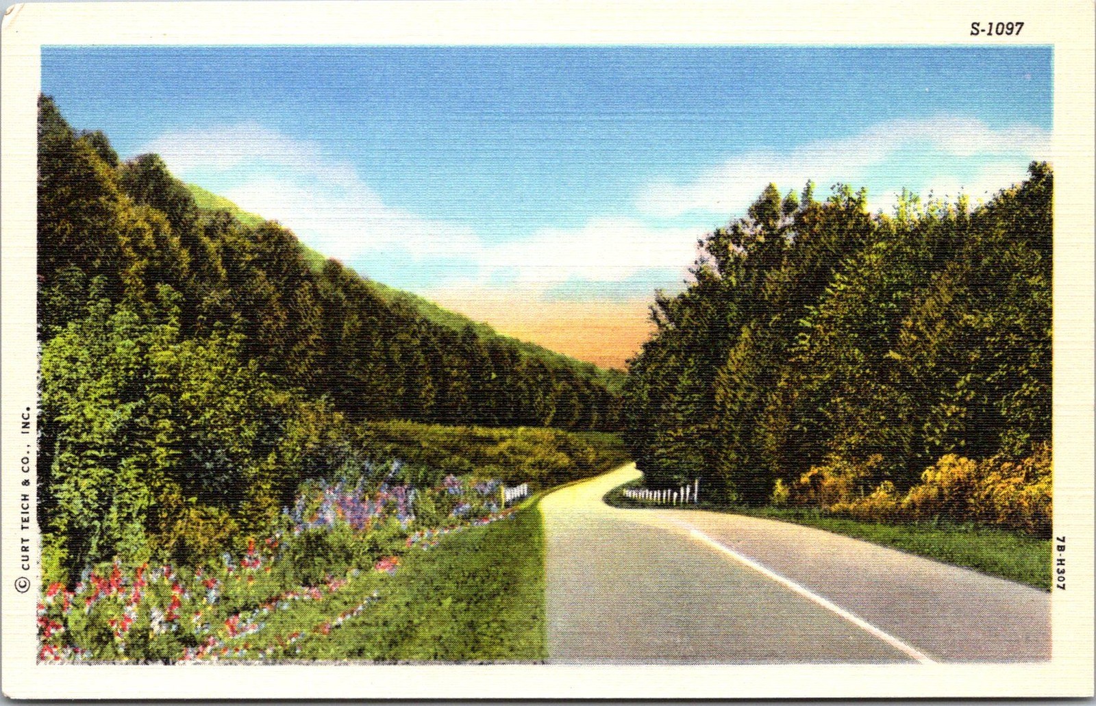 Curt Teich Linen Postcard Scenic Road Highway Trees Vintage Unposted S-1097 Curt Teich Linen Postcard Scenic Road Highway Trees Vintage Unposted S-1097