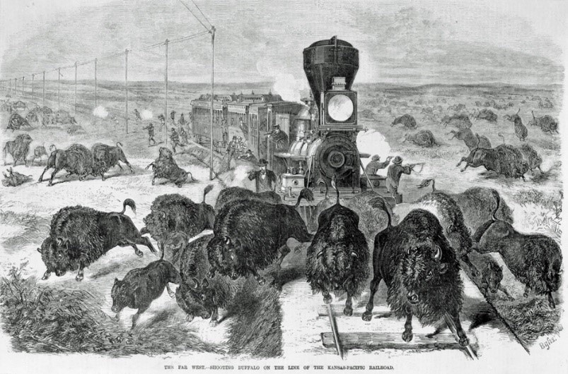 Buffalo hunting from train the Kansas-Pacific railroad 19th century. Photo8.5x11 Buffalo hunting from train the Kansas-Pacific railroad 19th century. Photo8.5x11