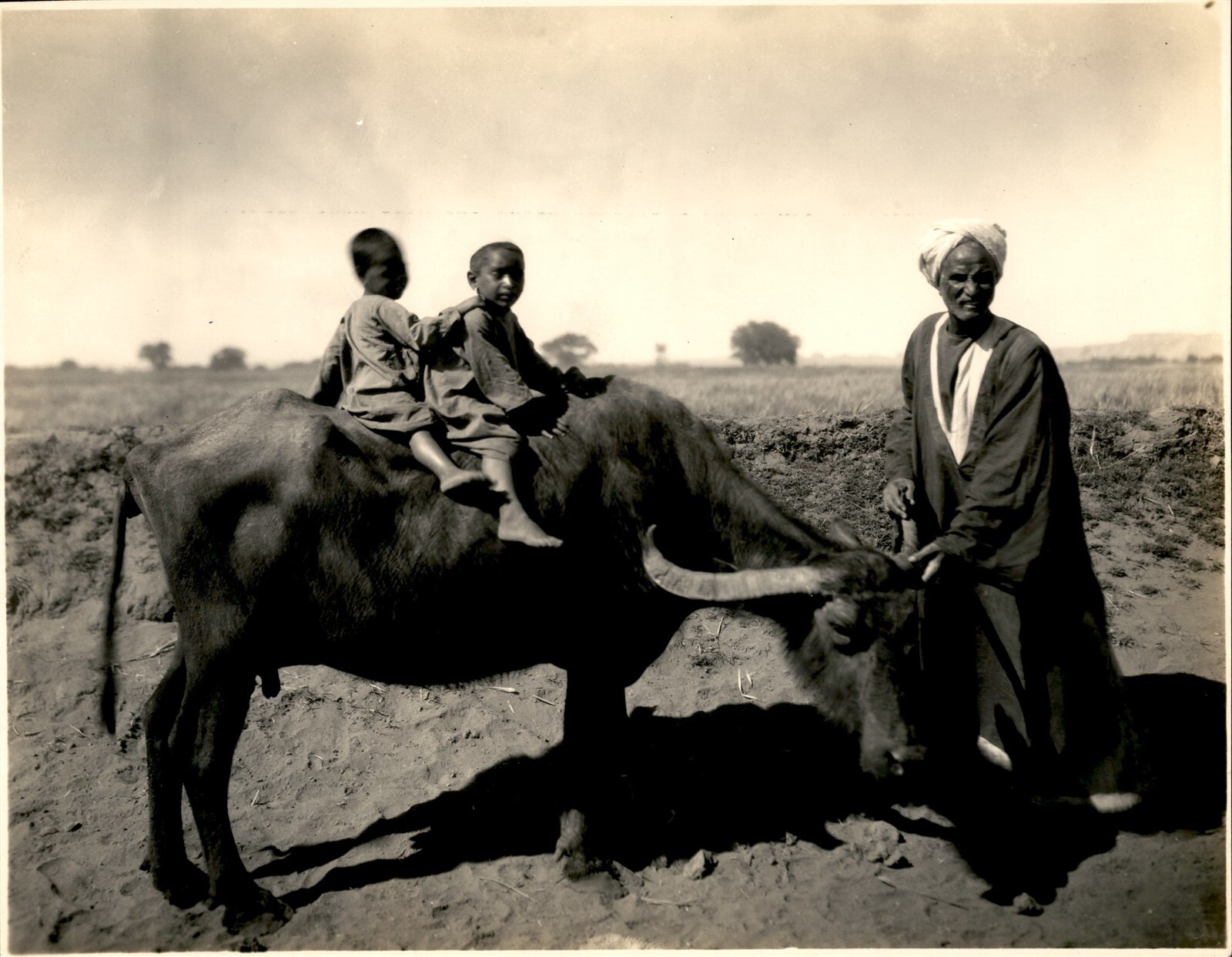 GA217 Approx. 1920s Original Photo NATIVES & WATER BUFFALO NILE RIVER EDFU EGYPT