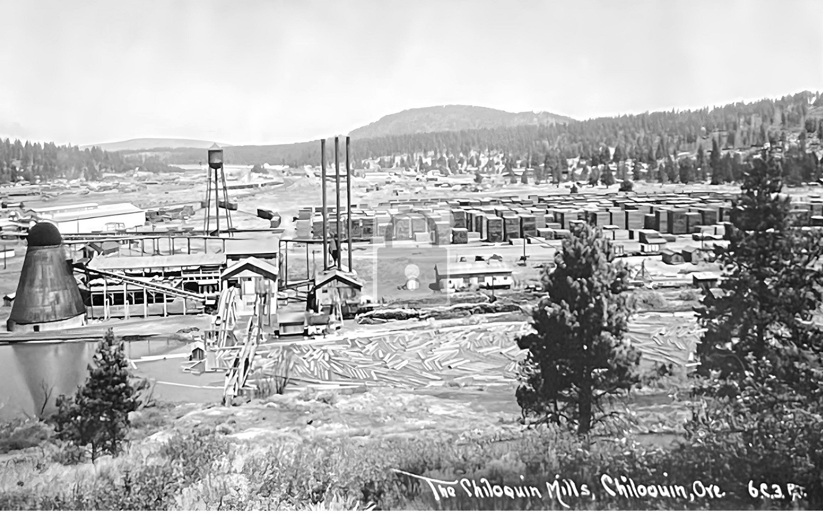 Chiloquin Lumber Logging Mill Oregon OR - Reprint