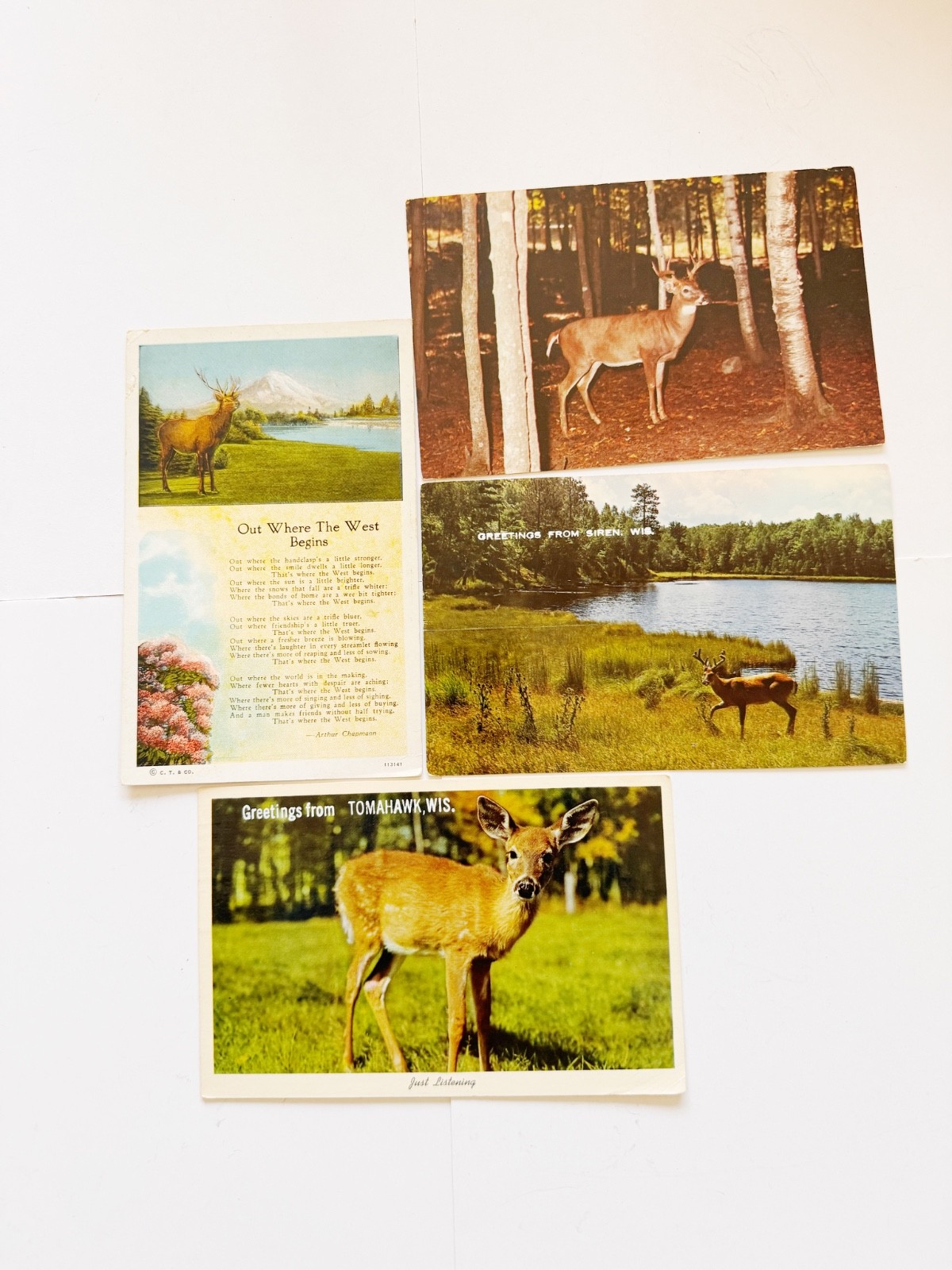 Lot of 4 Vintage Postcards Wisconsin Deer Bucks 1963-1971 Posted w/ Stamps
