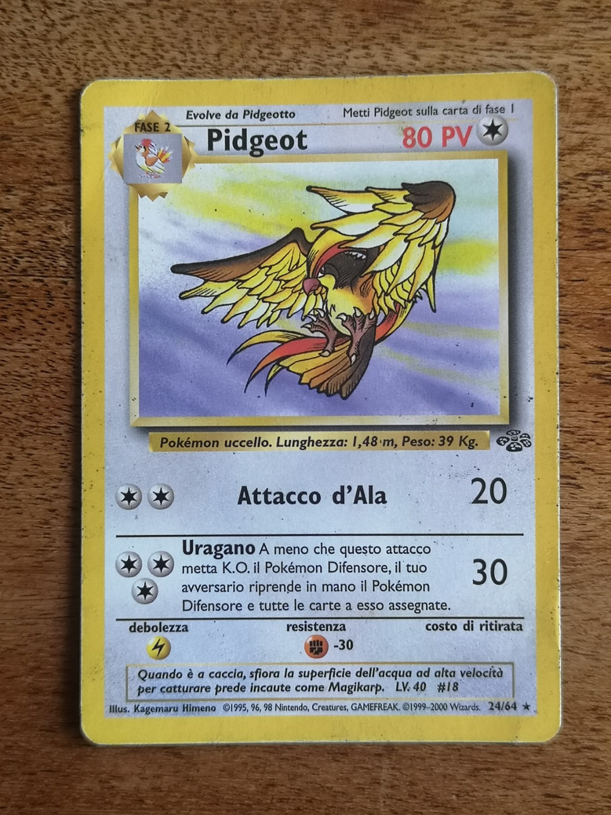 Pokemon Pidgeot 24/64 Jungle ITA
