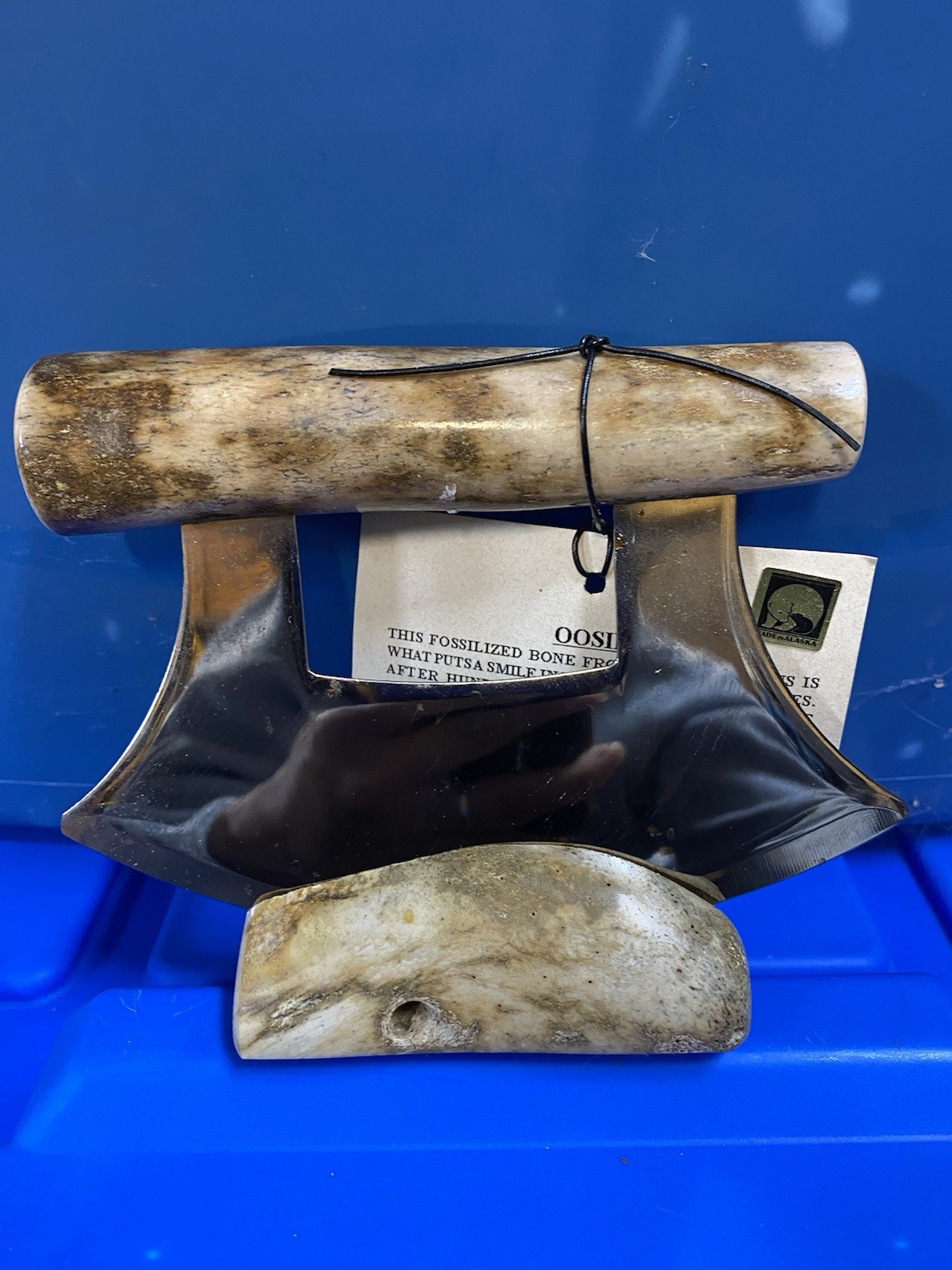 Handcrafted Fossil Walrus Oosik (Baculum) Ulu Alaska Natural Shed CARIBOU