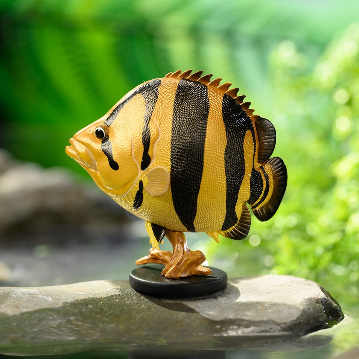 Animal Heavenly Body Siamese Tiger Fish Statue Datnioides pulcher