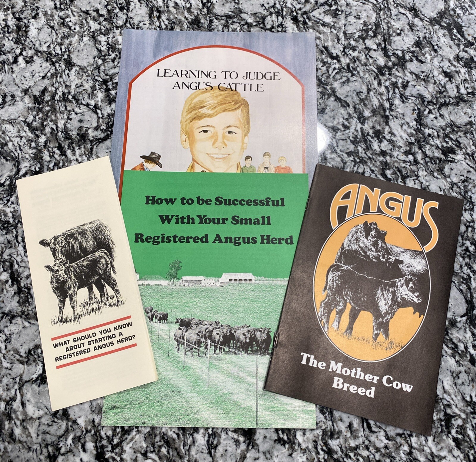 🔴🔵RARE, Vintage, American Aberdeen Angus Association Pamphlets, Lot of 4🔴🔵 🔴🔵RARE, Vintage, American Aberdeen Angus Association Pamphlets, Lot of 4🔴🔵