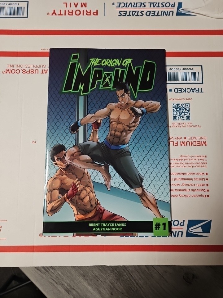 The Origin Of Impound #1 Hot Indie Impound Comics VF- OR BETTER HTF 1st PRINT 