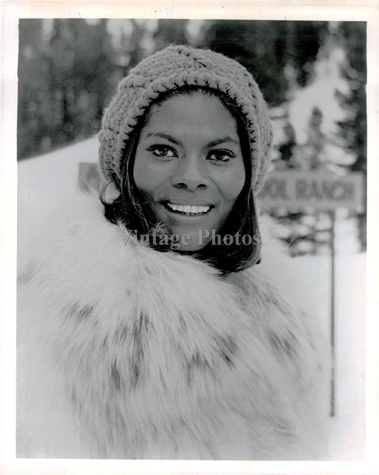 1975 Dionne Warwick Singer Songwriter Tv Show Host Historic Vintage Photo 8x10