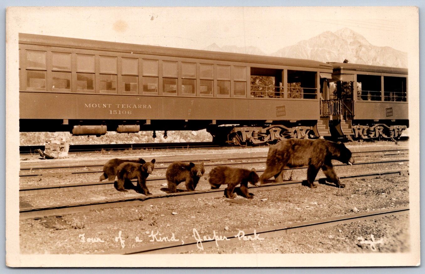 K53/ Jasper National Park Canada RPPC Postcard c1940 Railroad Black Bears 108