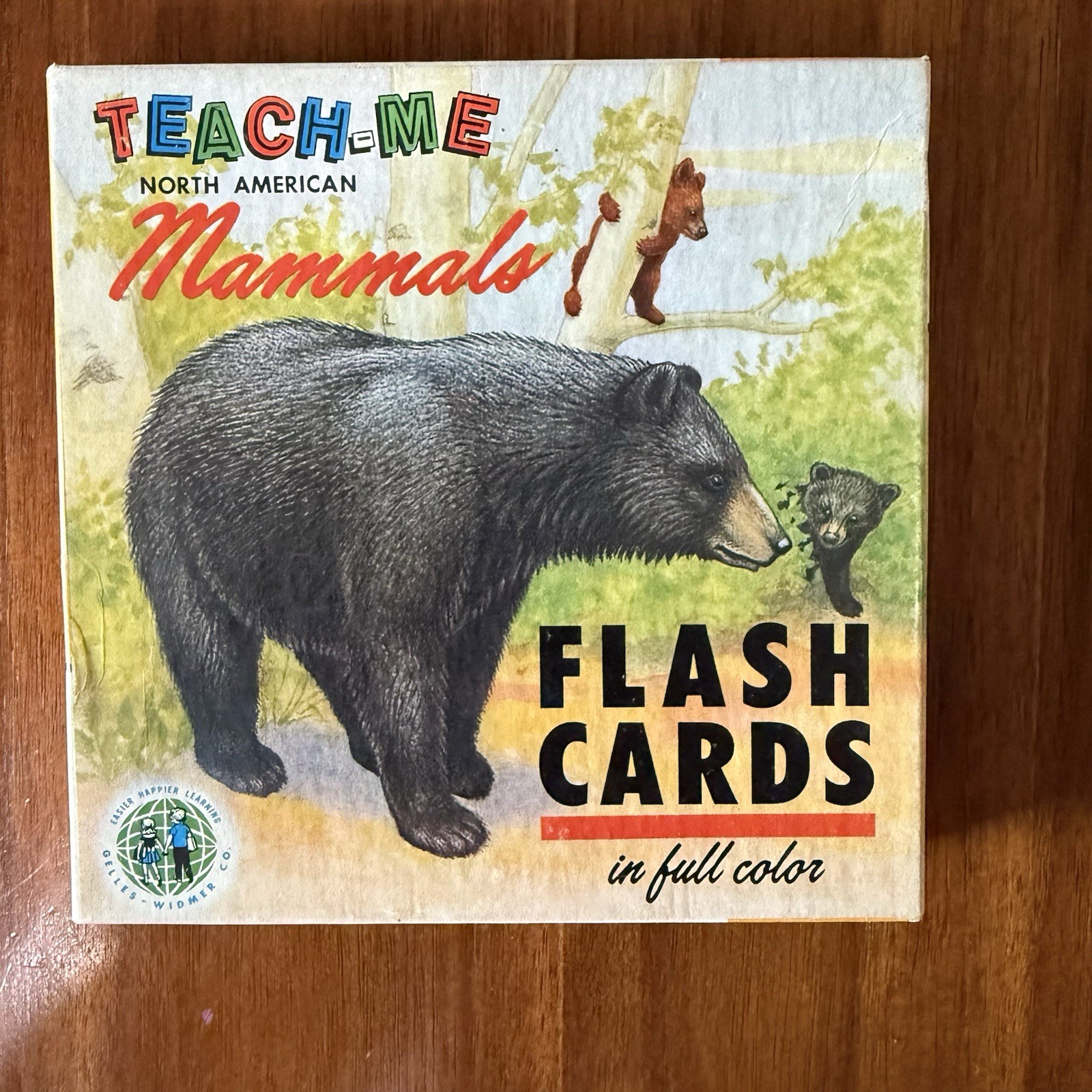 1963 Vintage Teach Me North American Mammals Flash Cards BEAUTIFUL GRAPHICS 1963 Vintage Teach Me North American Mammals Flash Cards BEAUTIFUL GRAPHICS